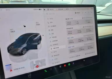 Model Y