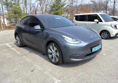Model Y