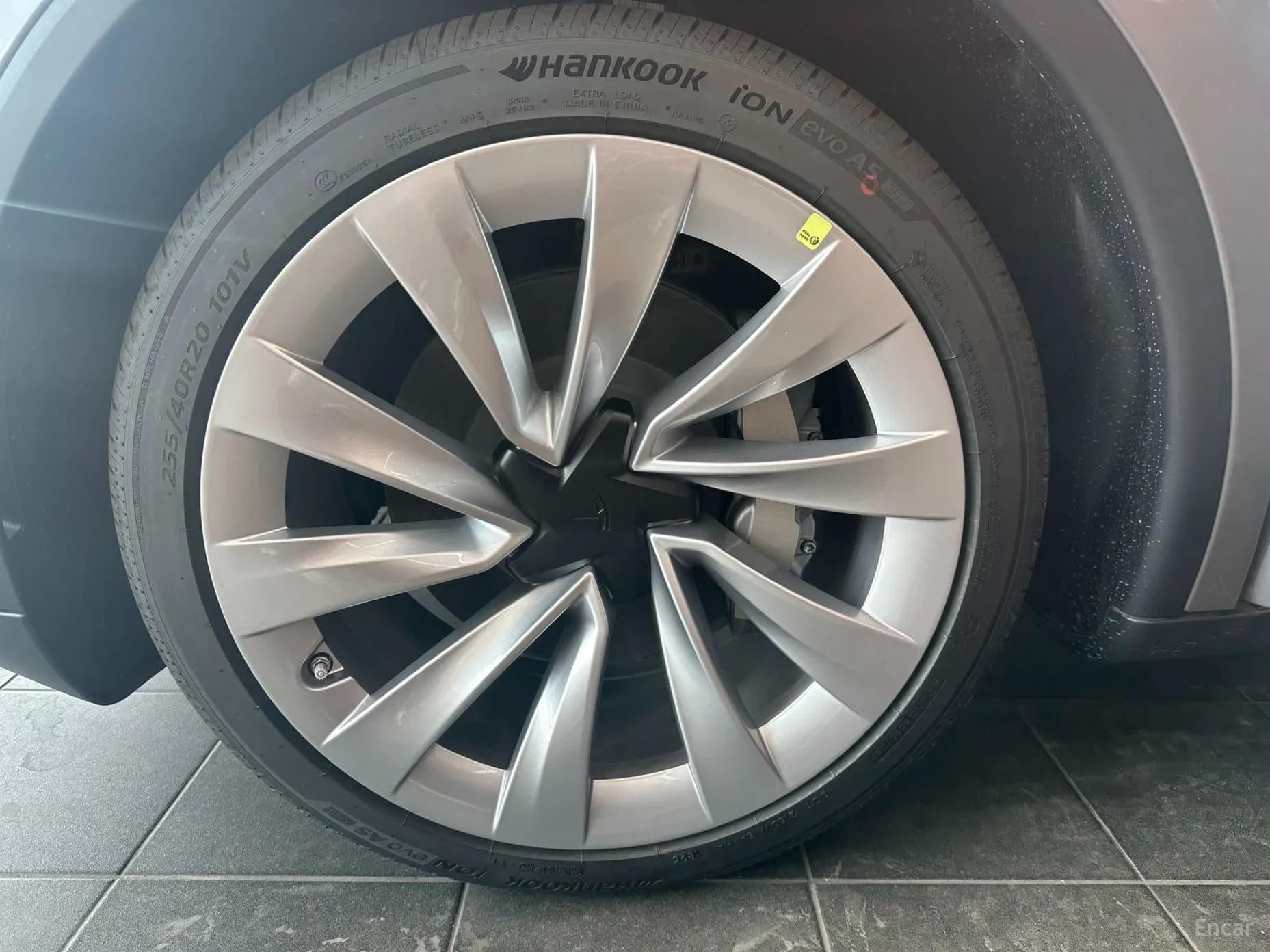 Model Y