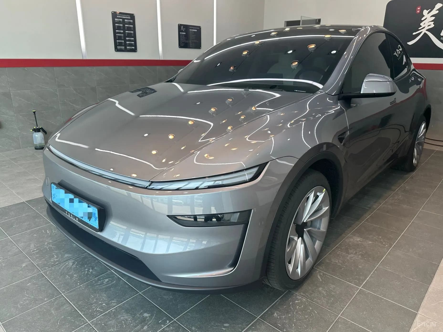 Model Y