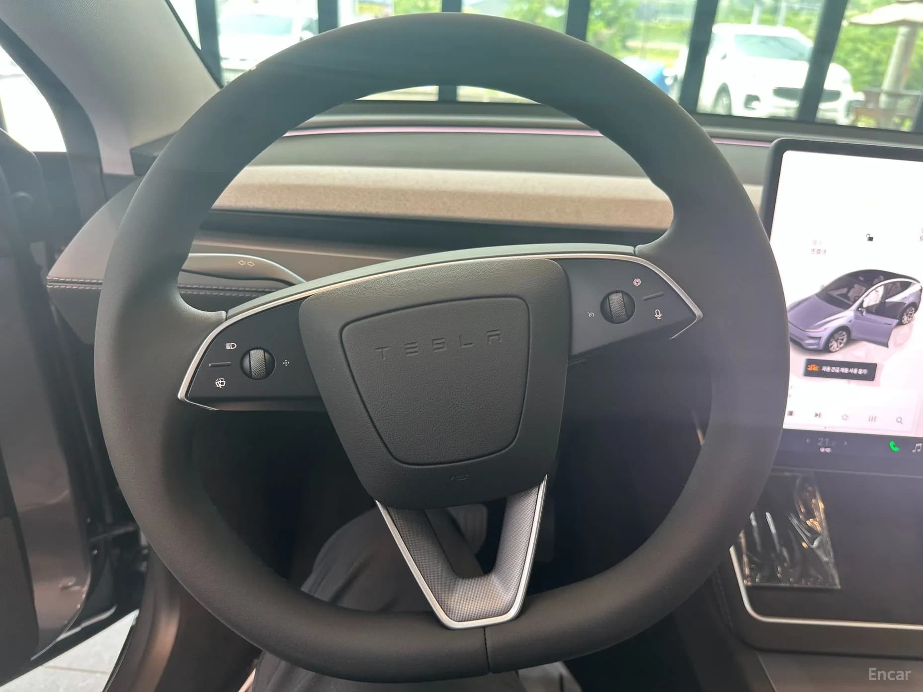Model Y