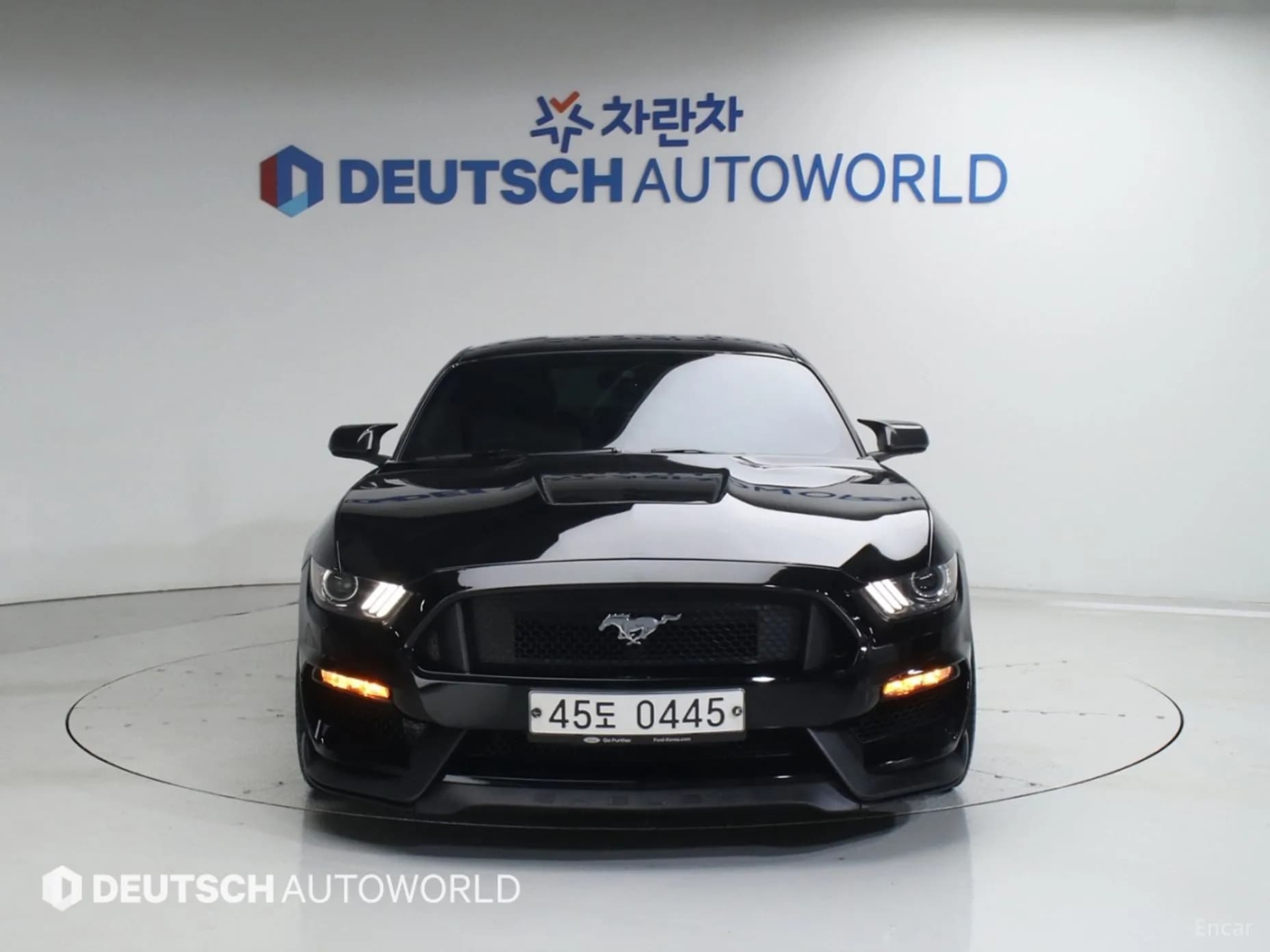 Mustang