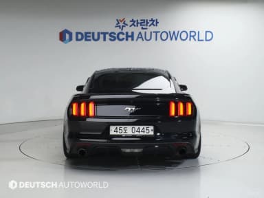 Mustang