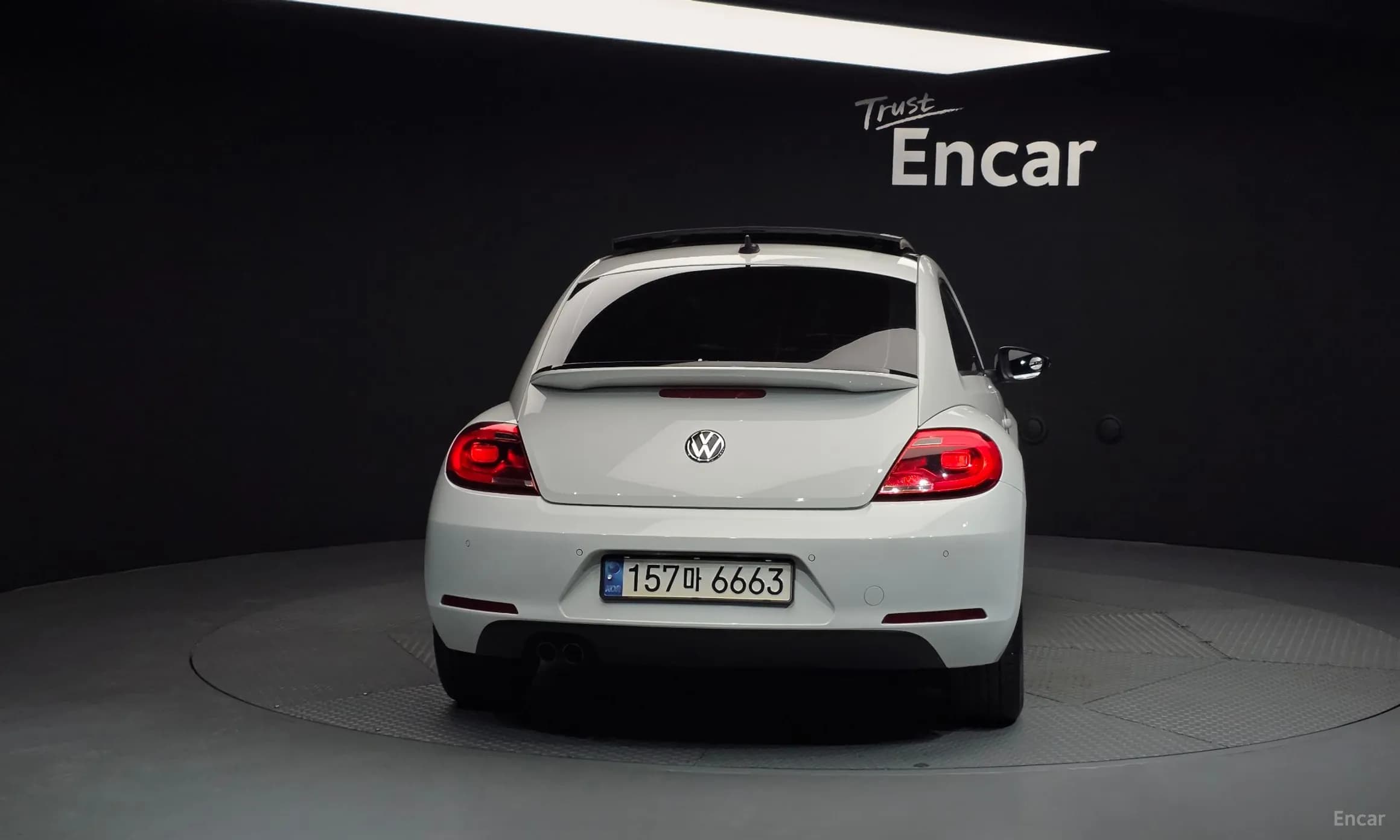 The Beetle