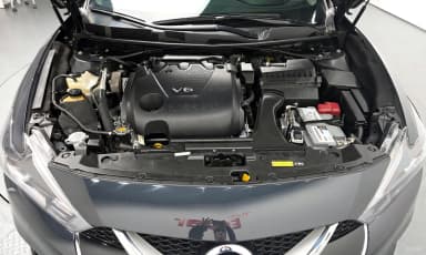 Maxima (A36)