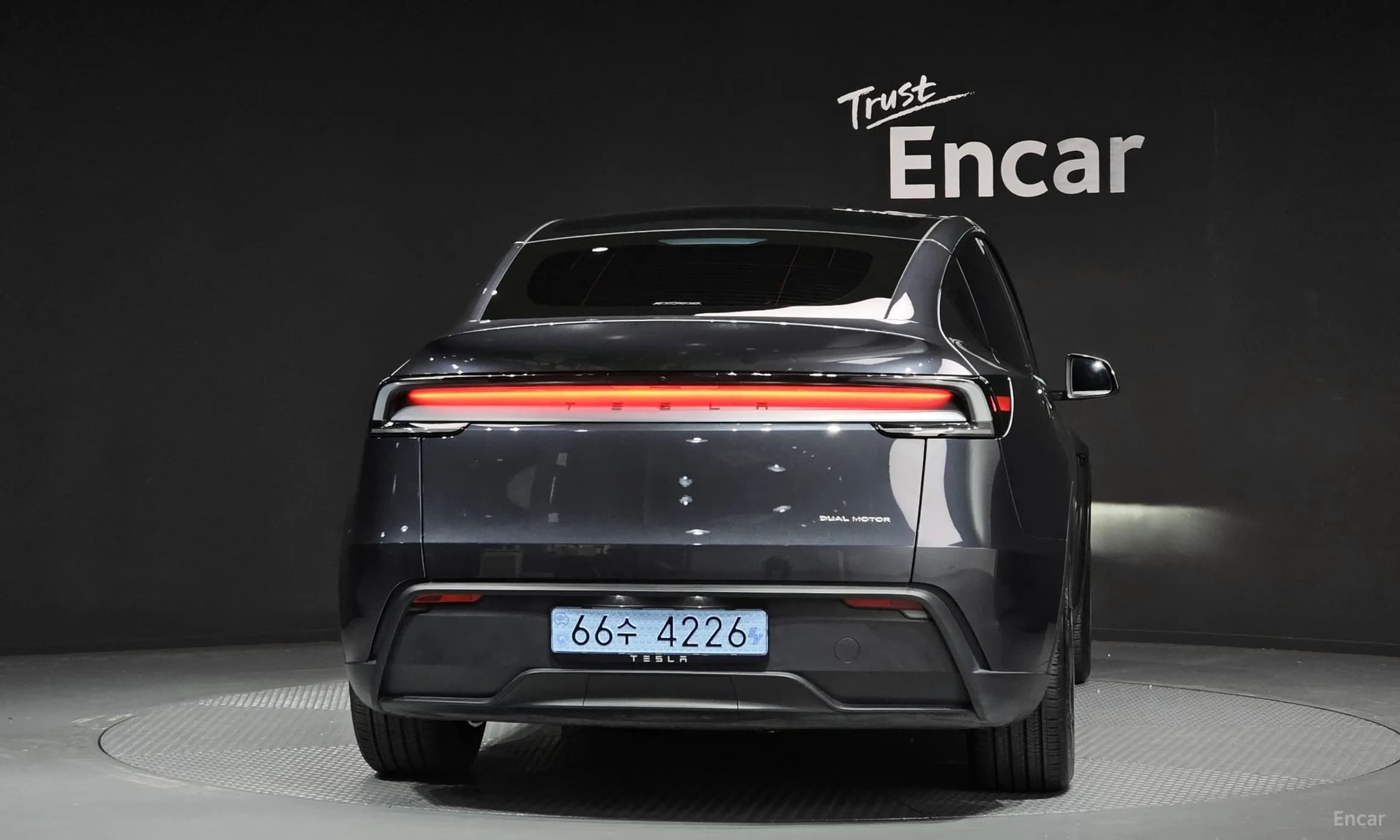Model Y