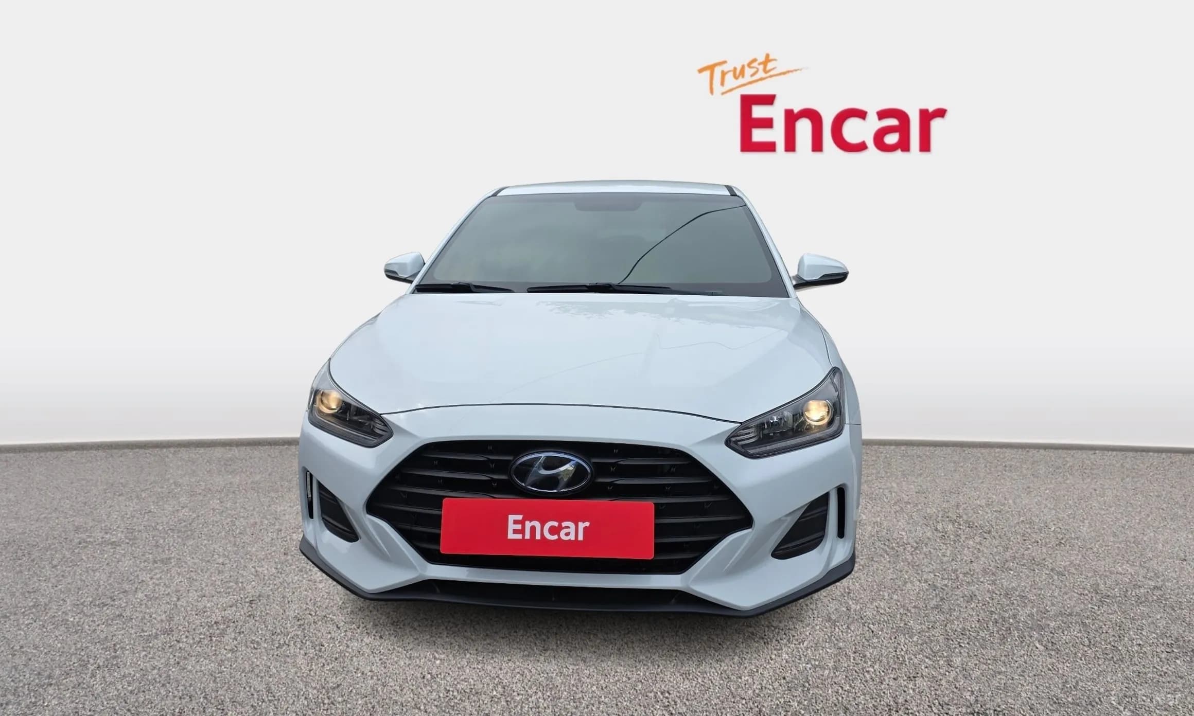 Veloster (JS)
