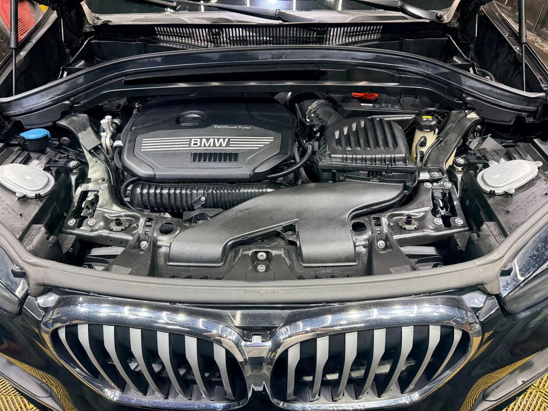 X1 (F48)