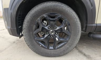 Rexton Sports