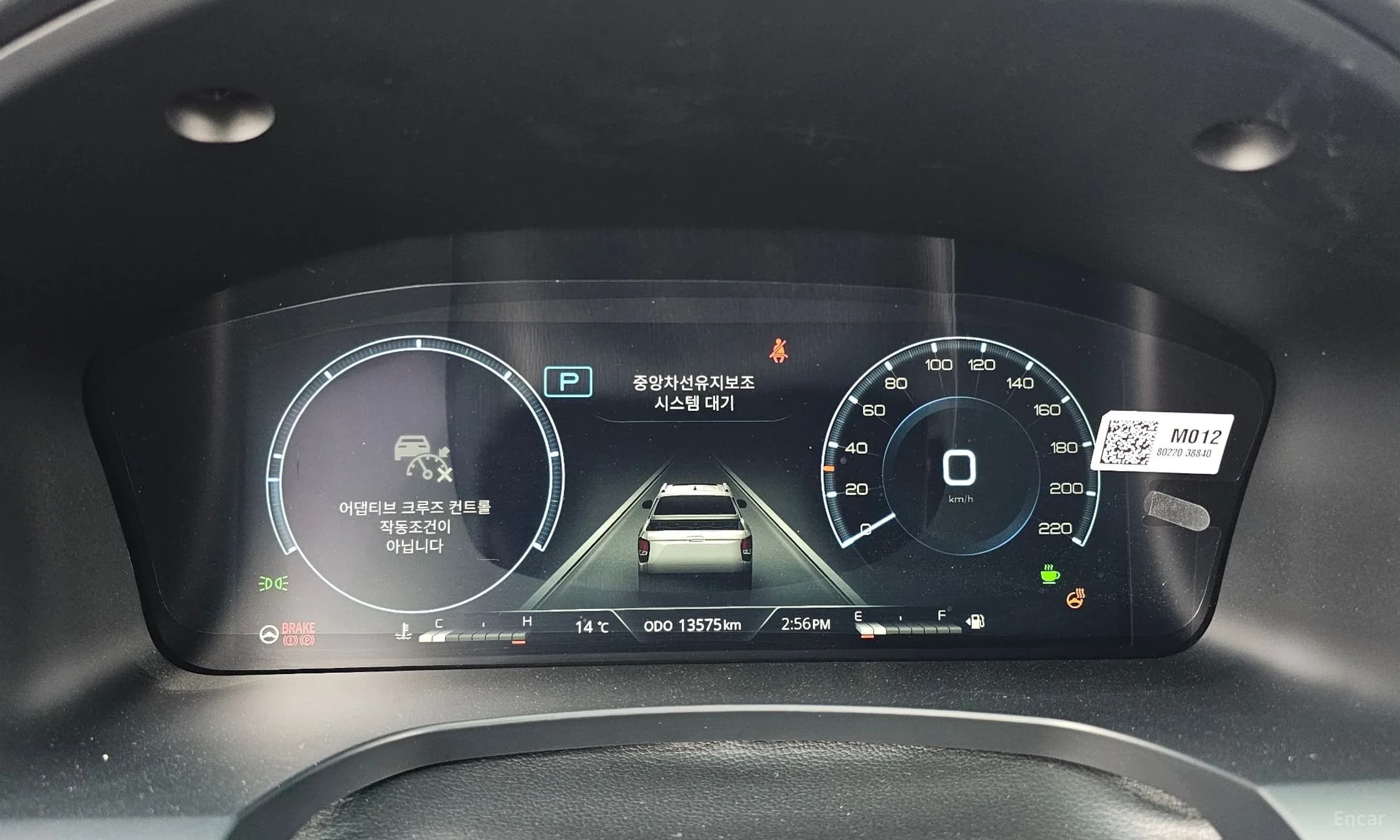 Rexton Sports