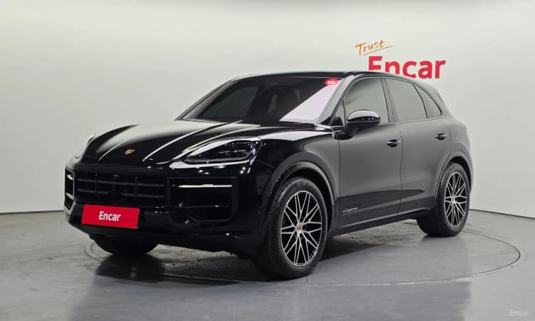 Cayenne (PO536)