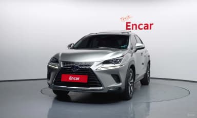NX300h