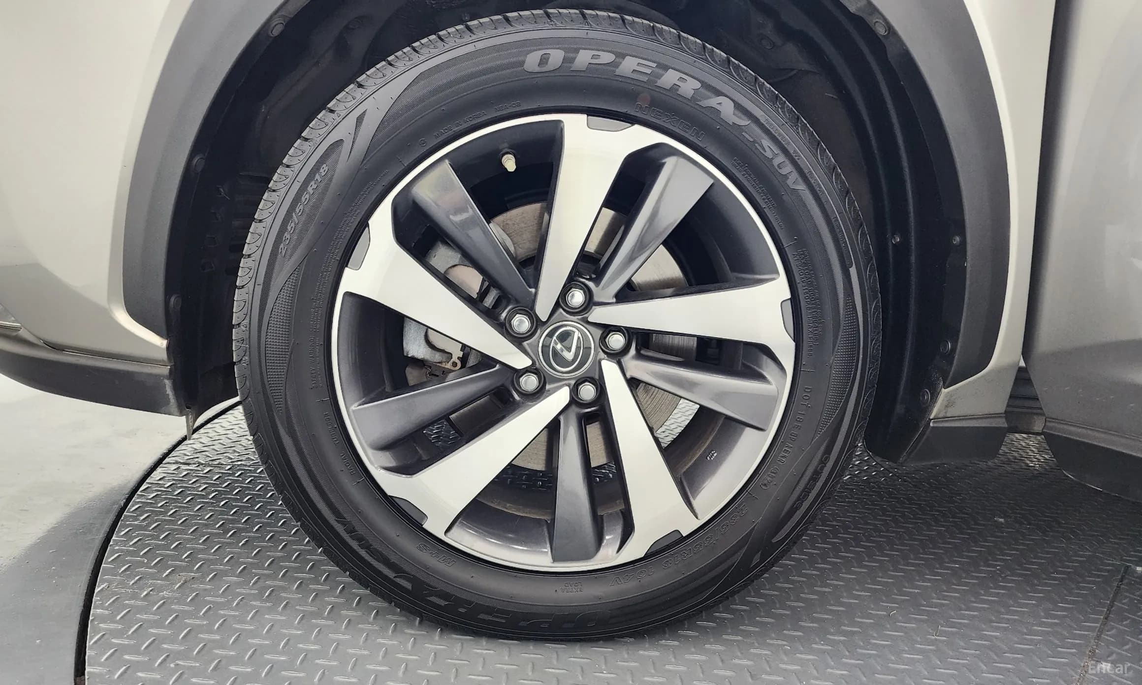 NX300h