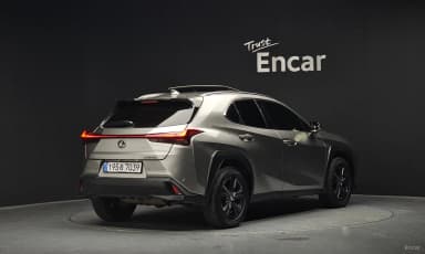 UX300h