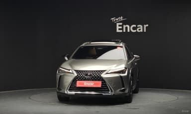 UX300h
