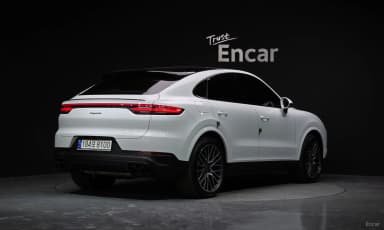 Cayenne (PO536)