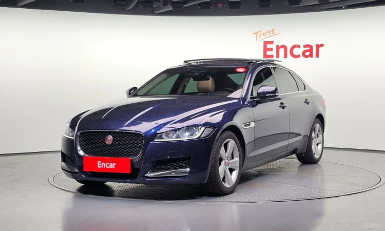 XF (x260)