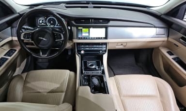 XF (x260)