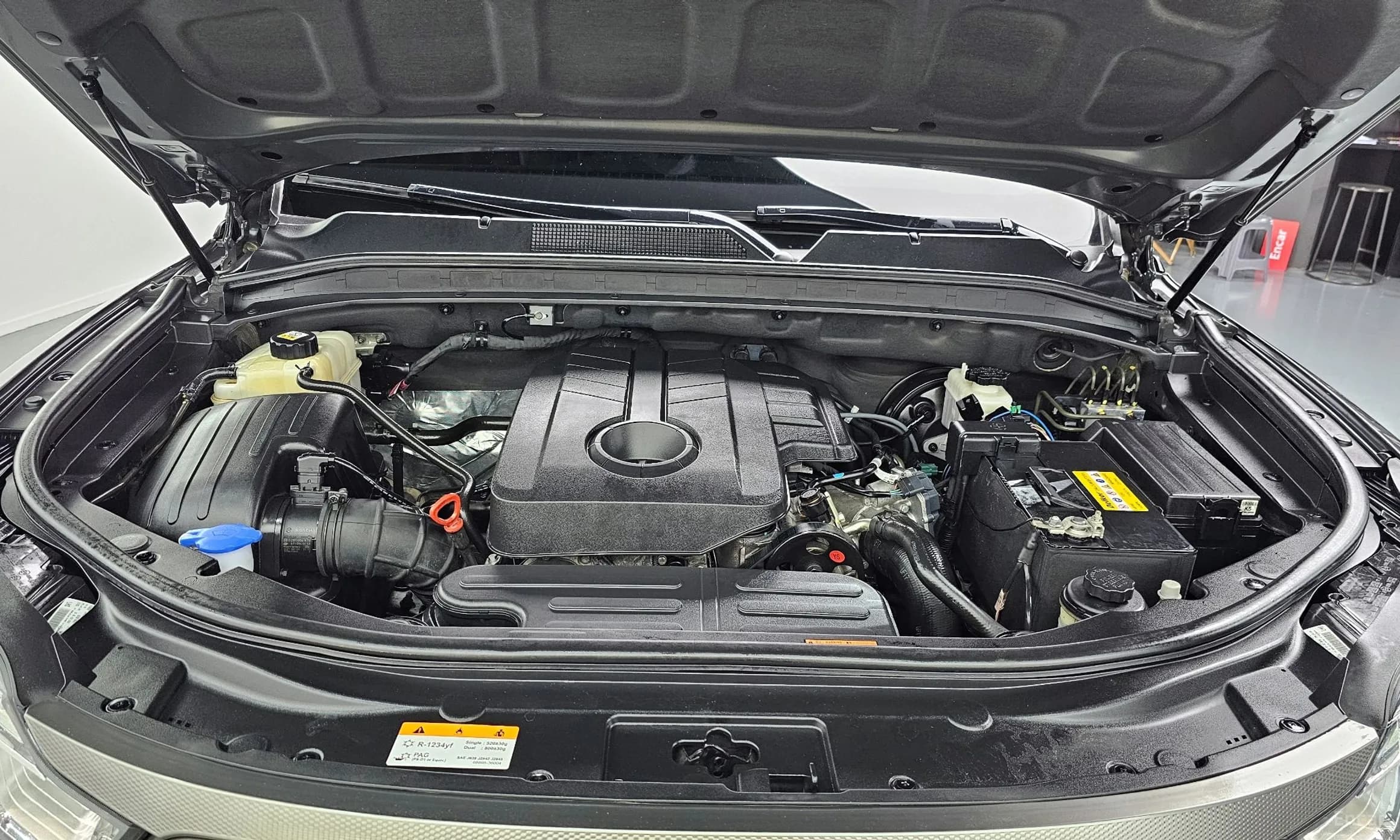 Rexton Sports