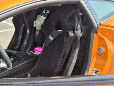 GALLARDO
