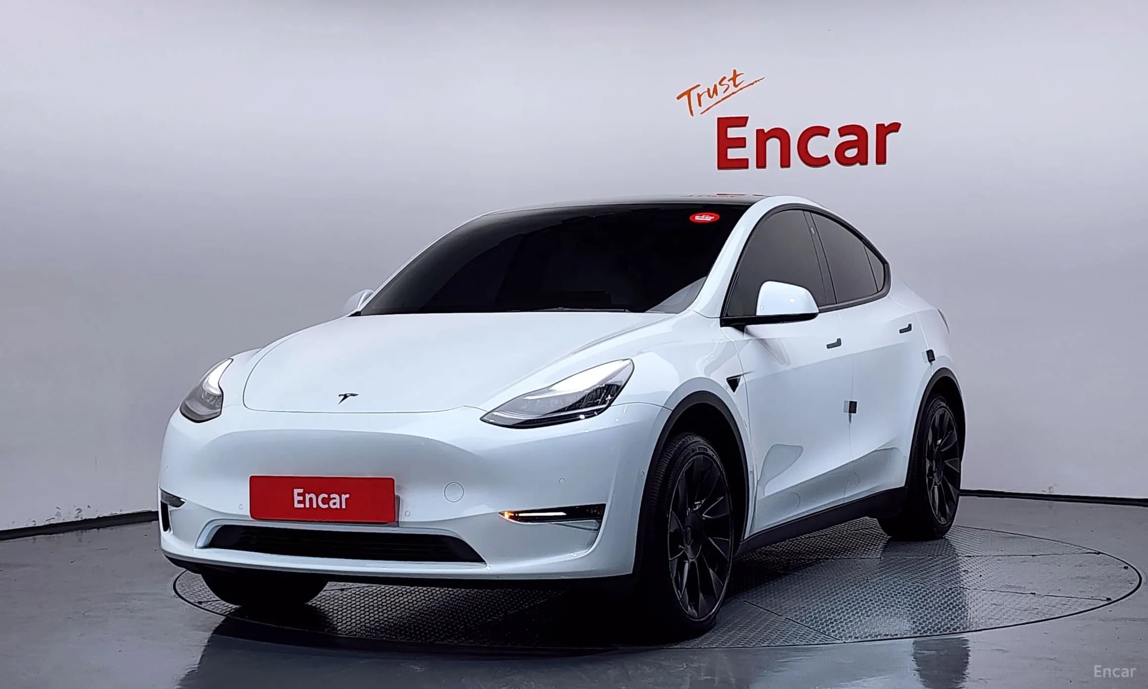 Model Y