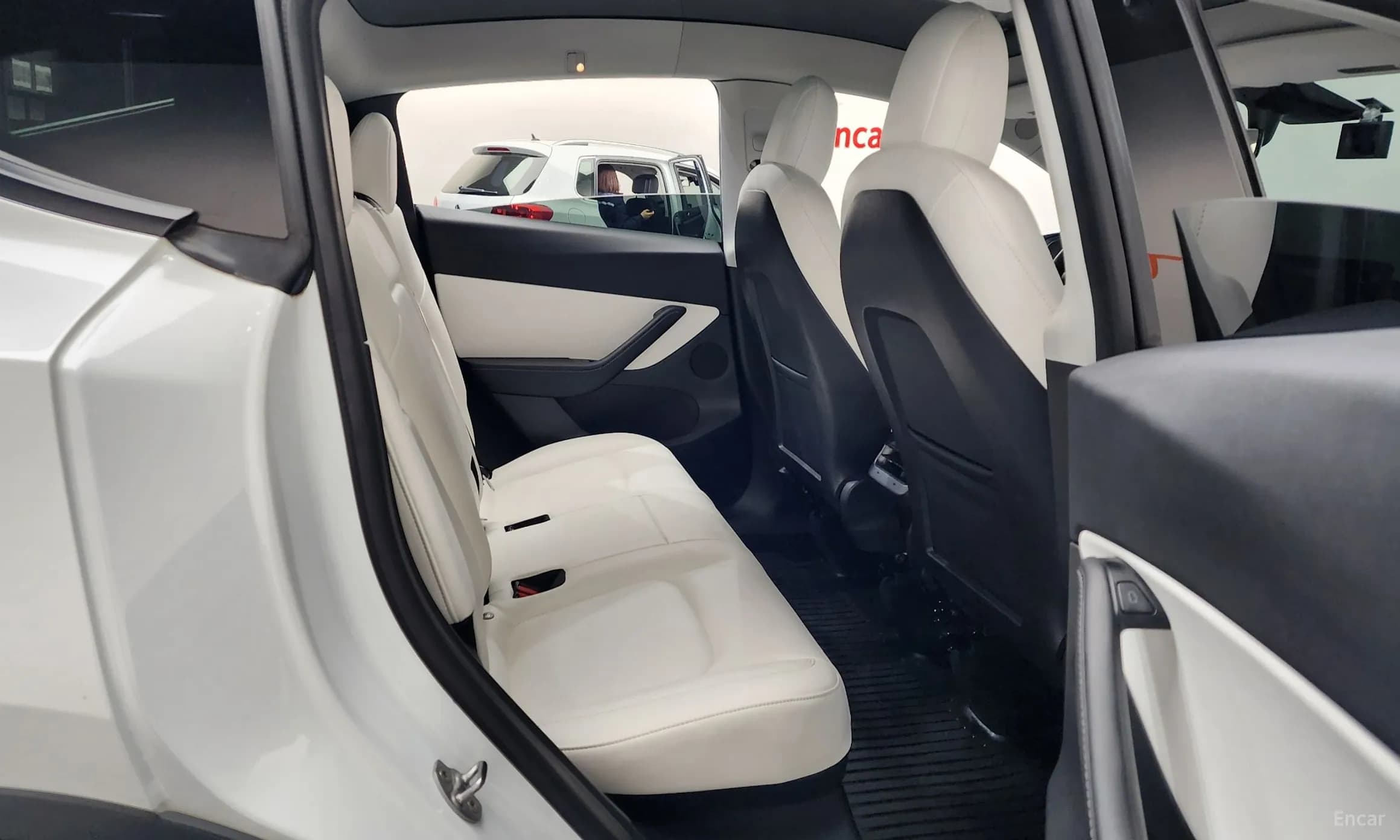 Model Y
