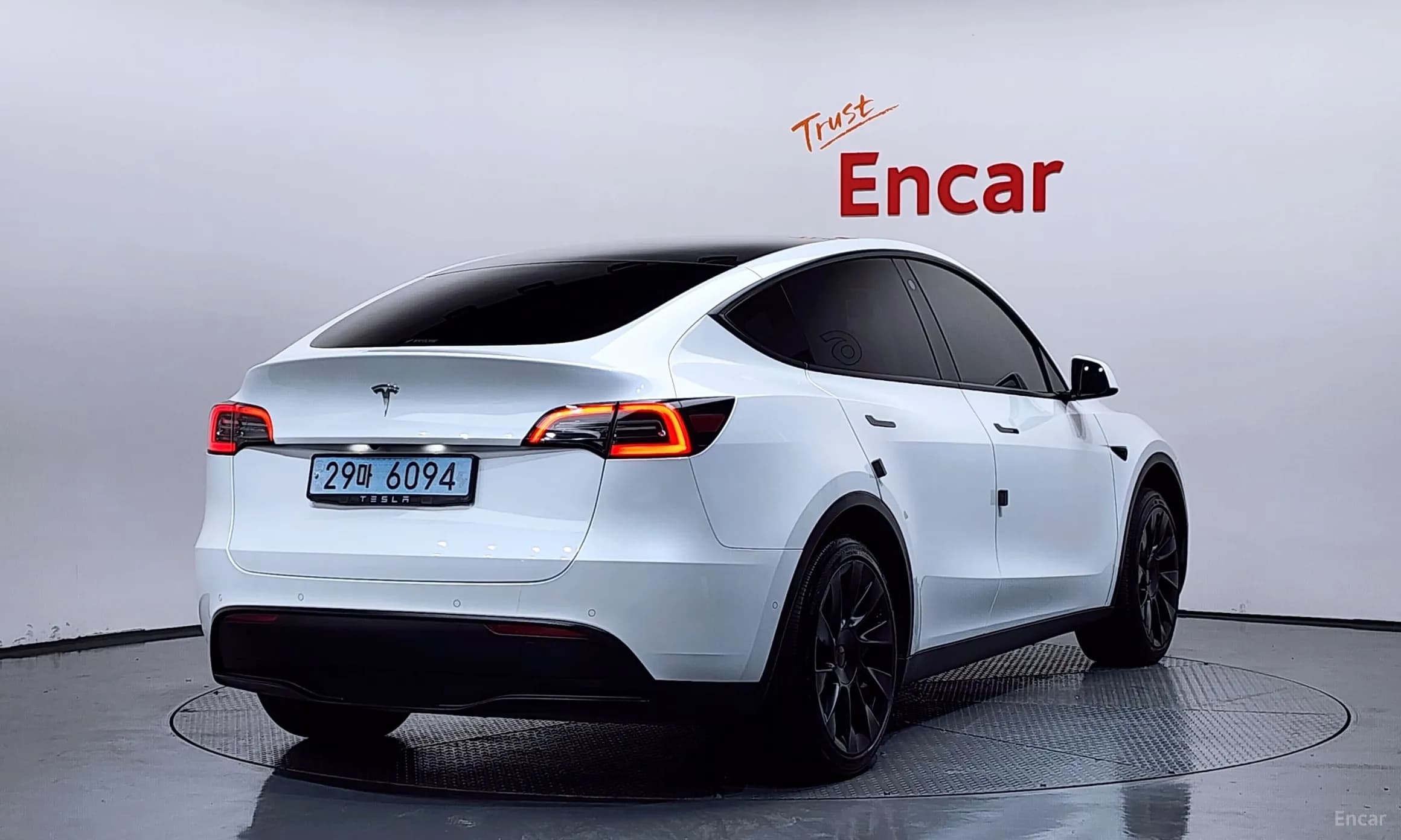 Model Y