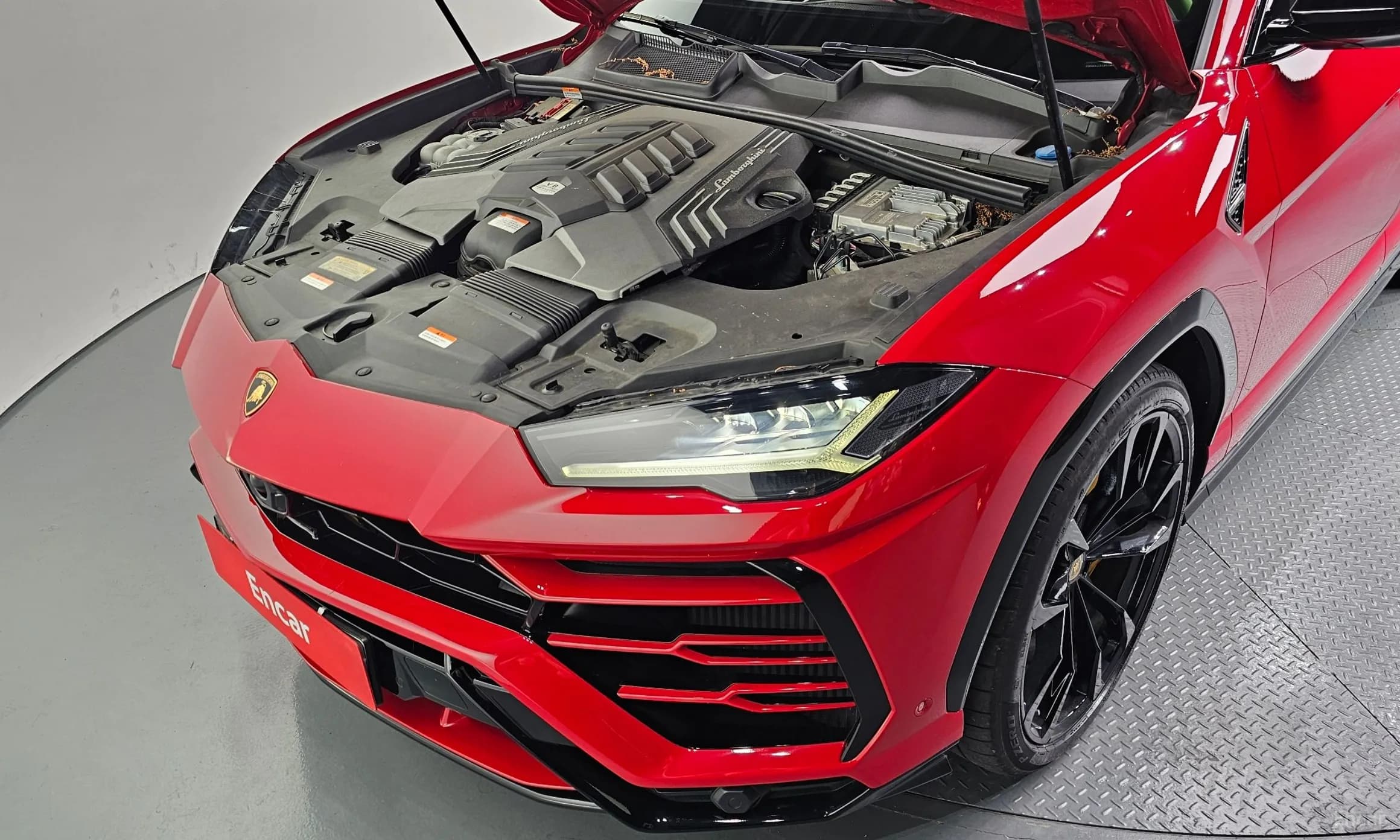 Urus