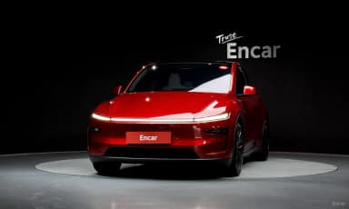 Model Y