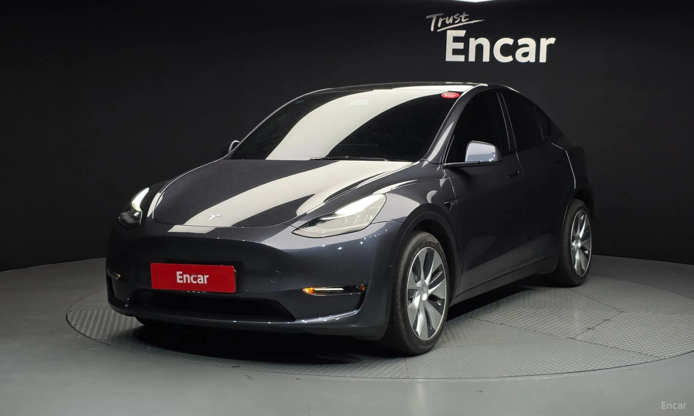Model Y