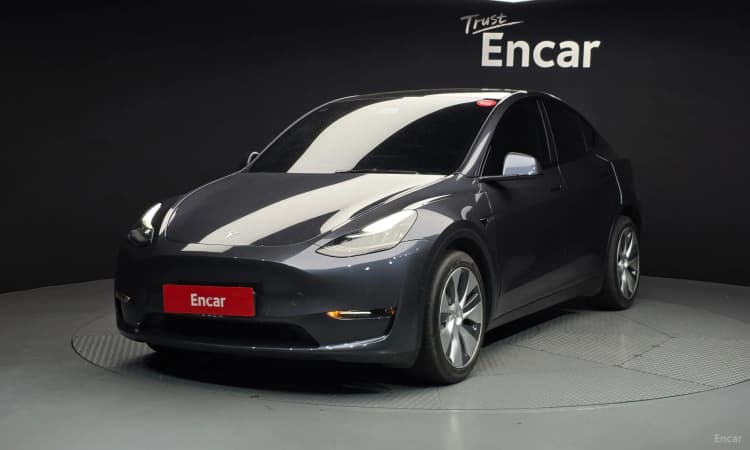 Model Y