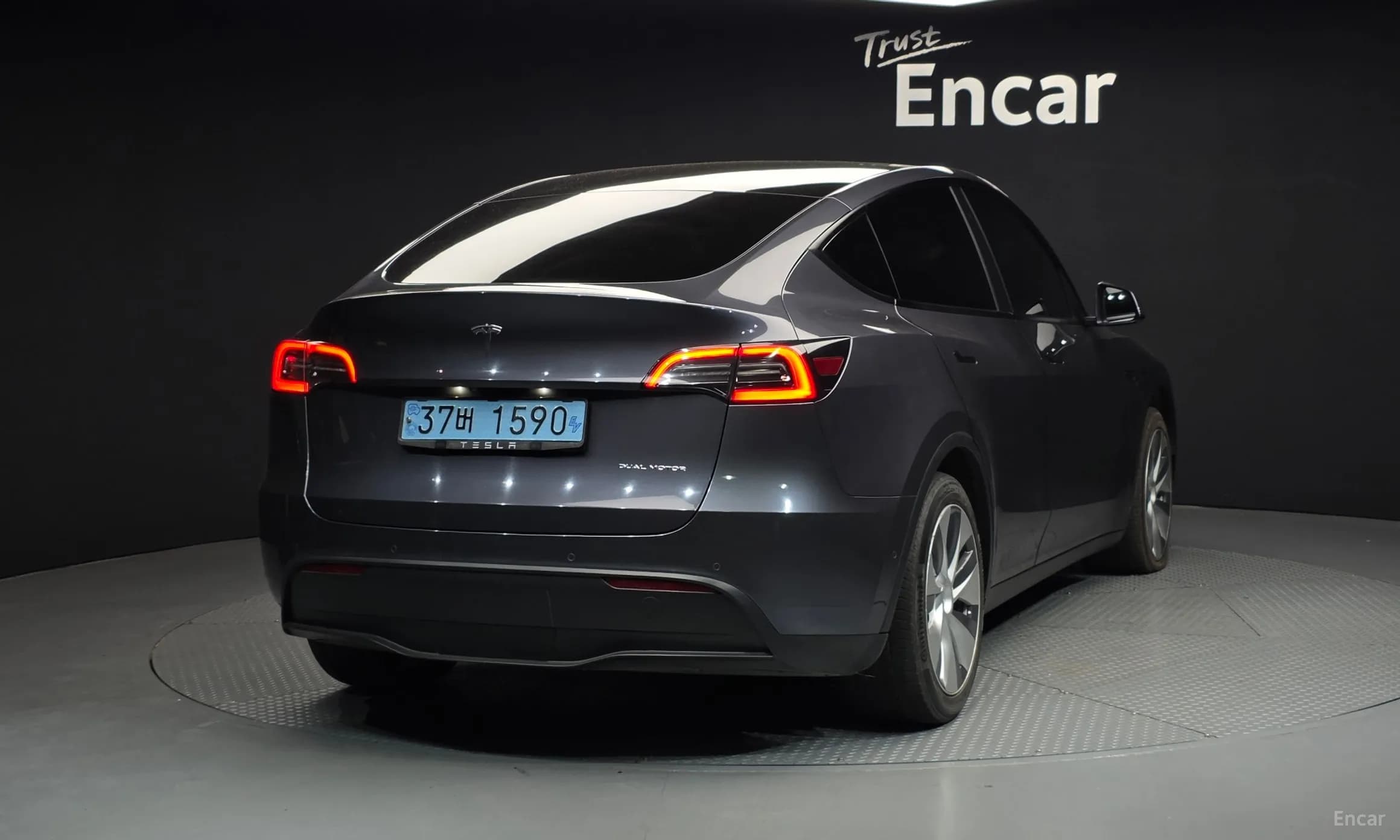 Model Y