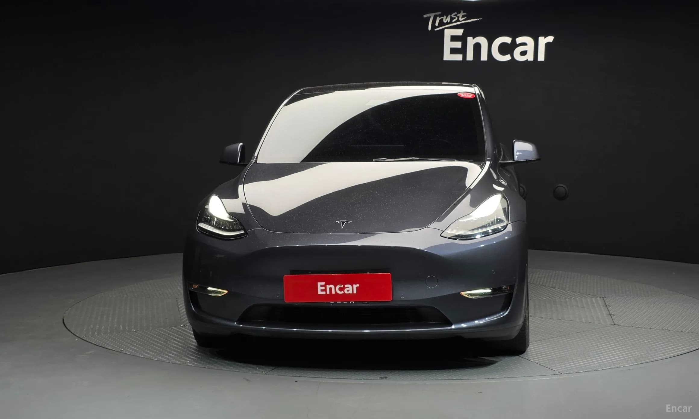 Model Y