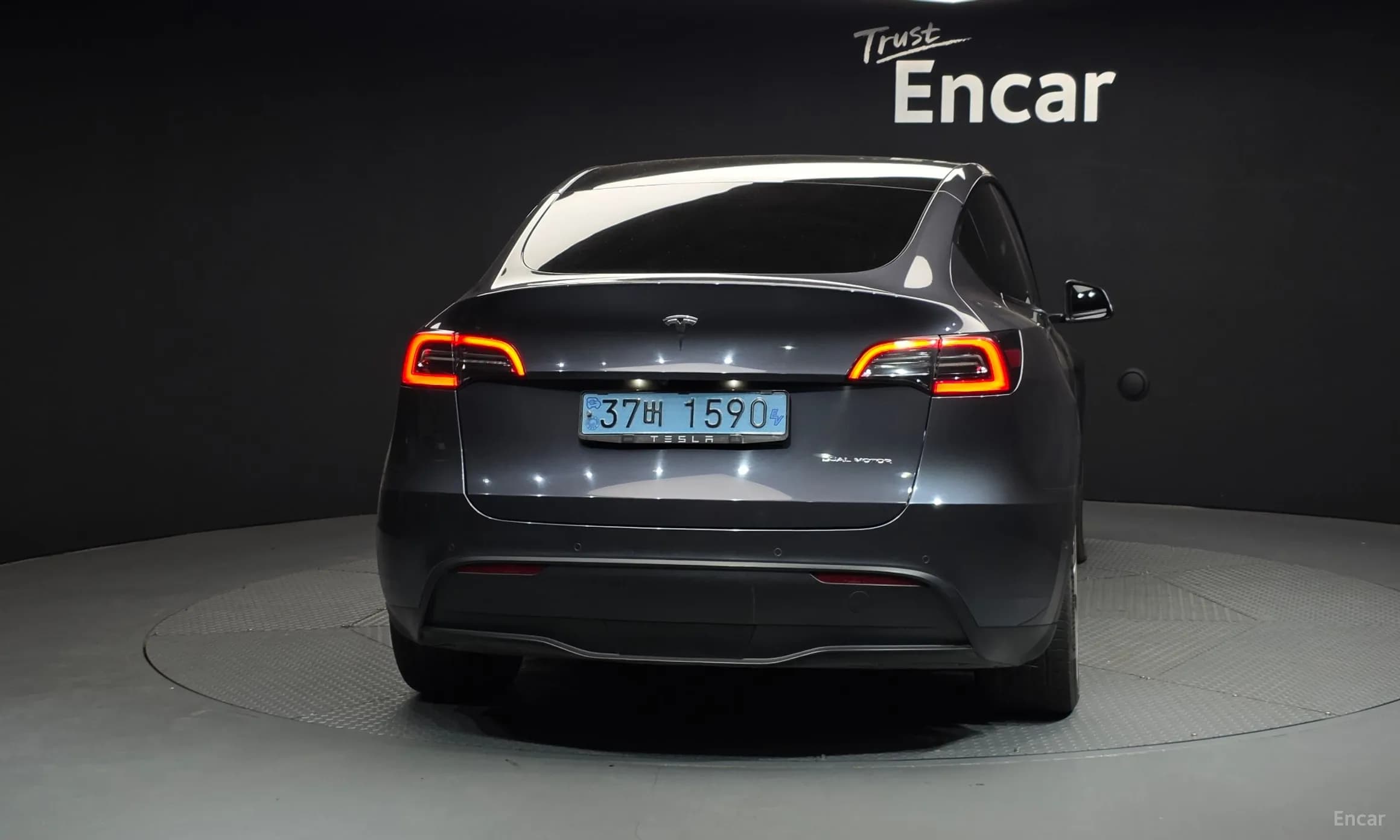 Model Y