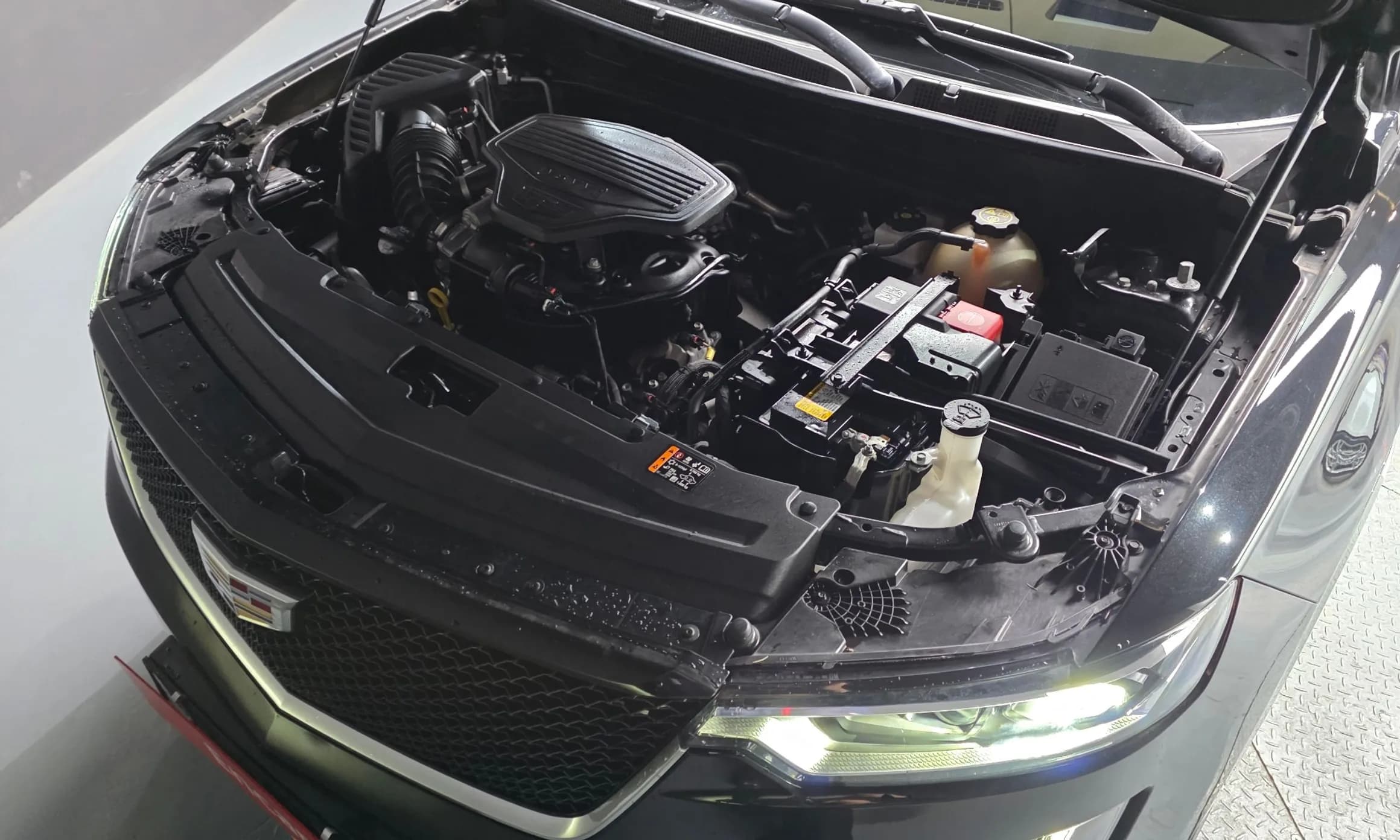 XT6