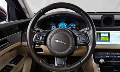 XF (x260)