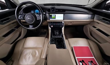 XF (x260)