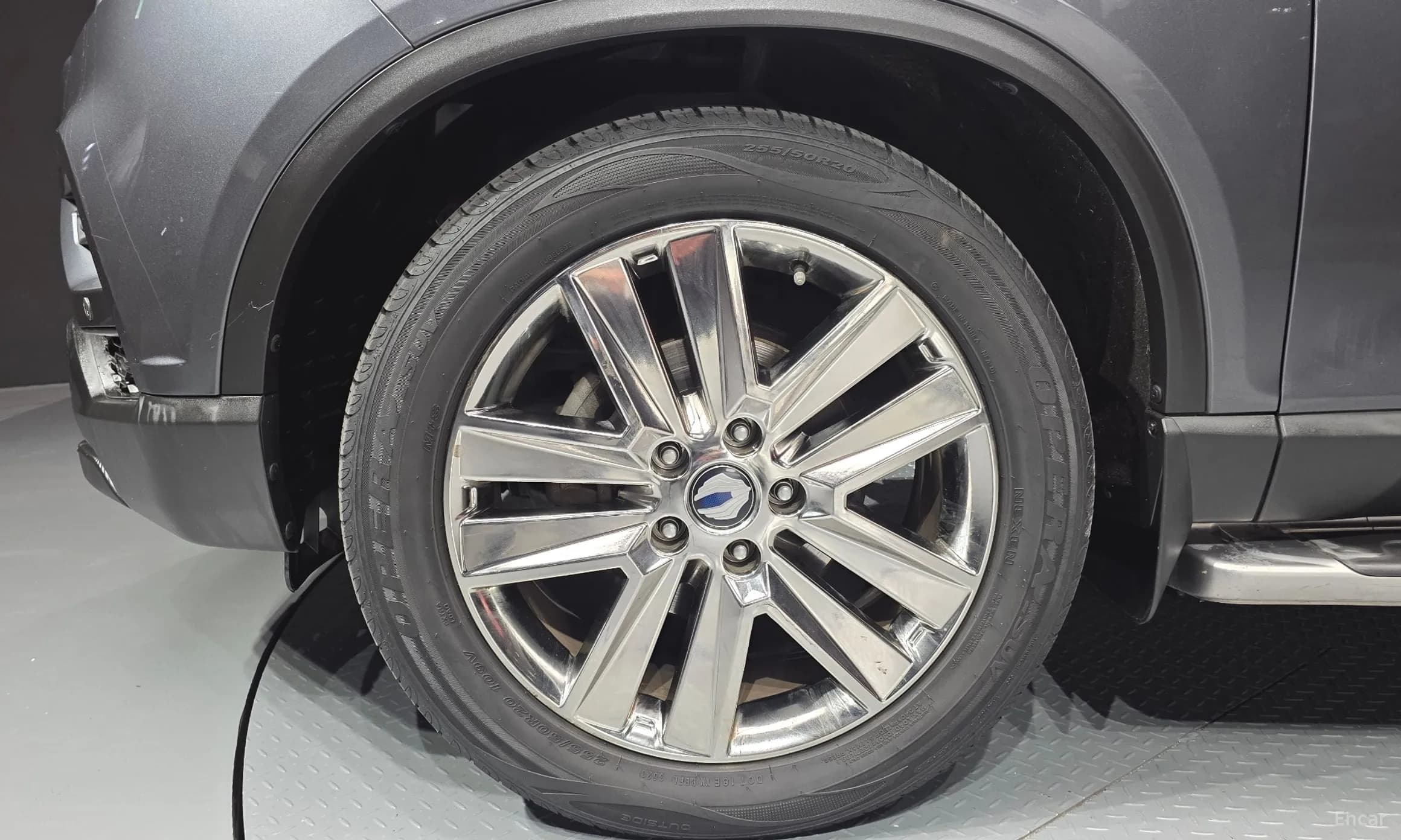 Rexton Sports