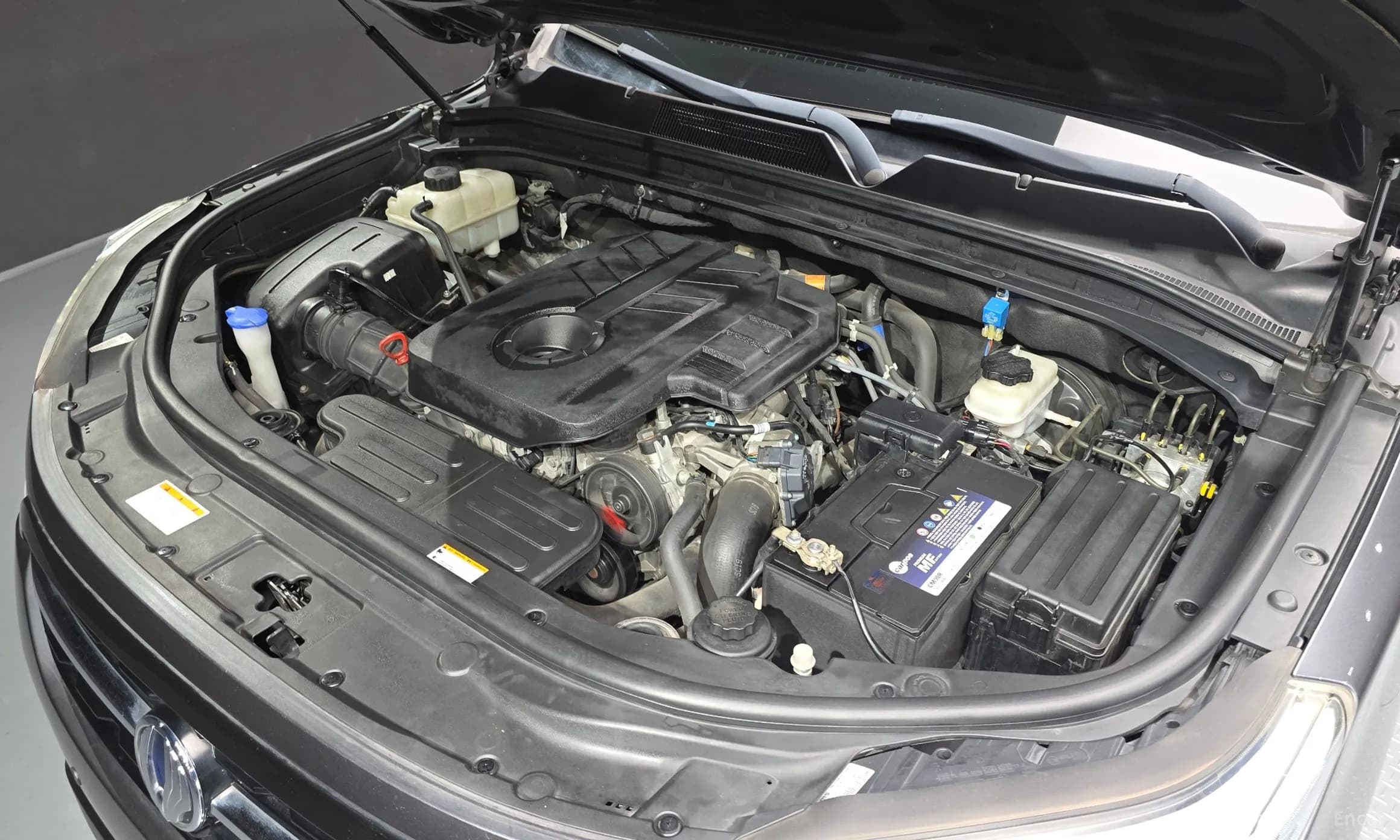 Rexton Sports