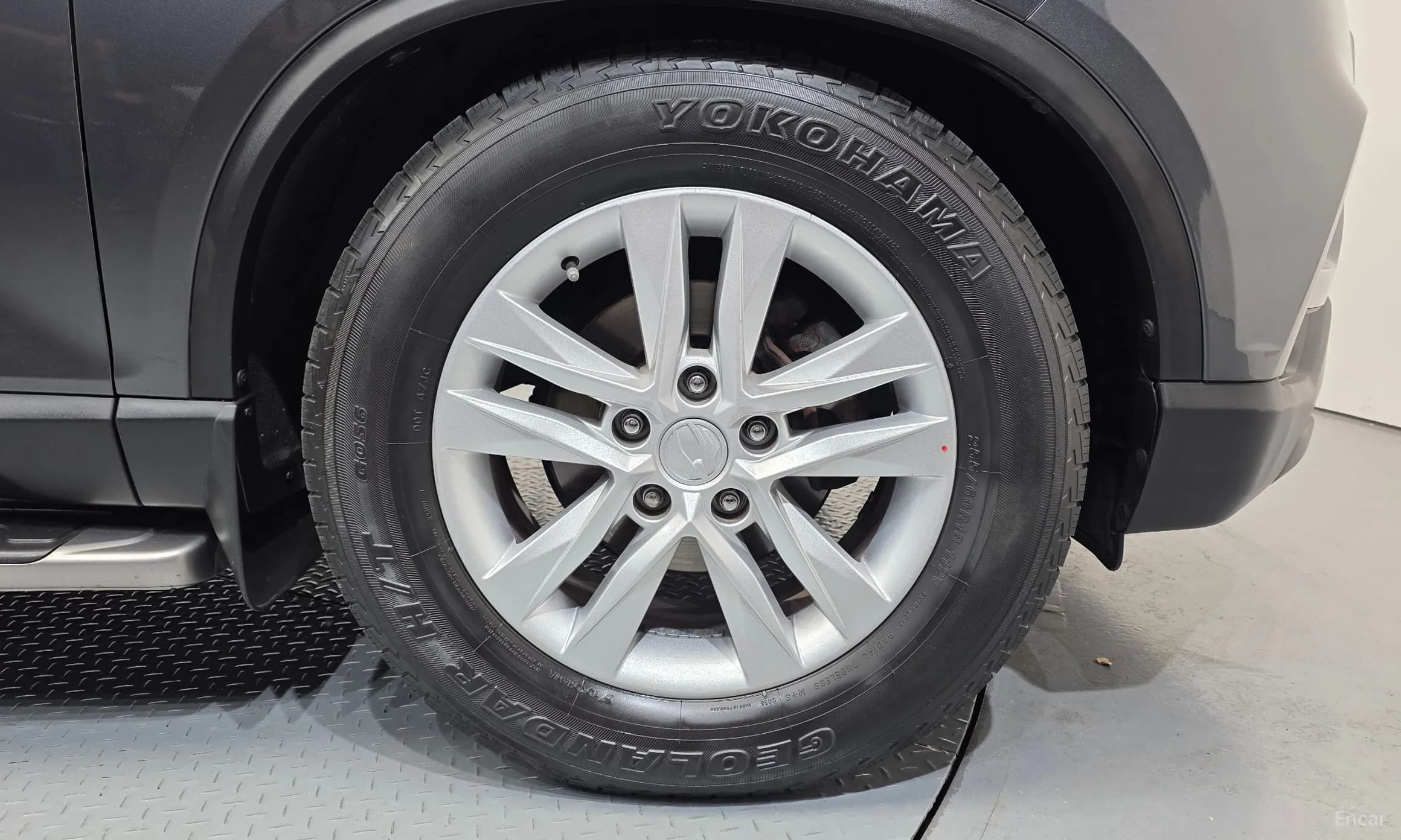Rexton Sports