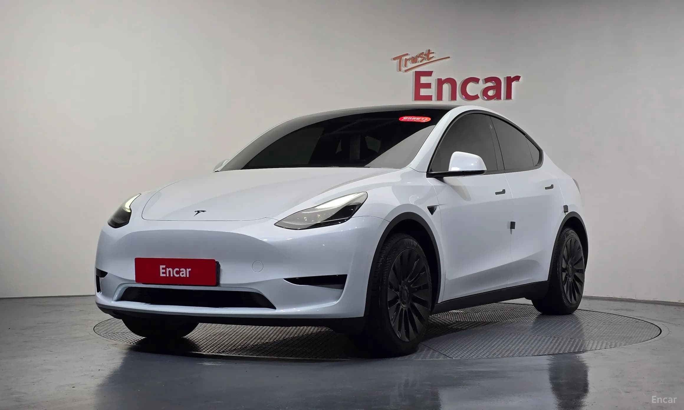 Model Y