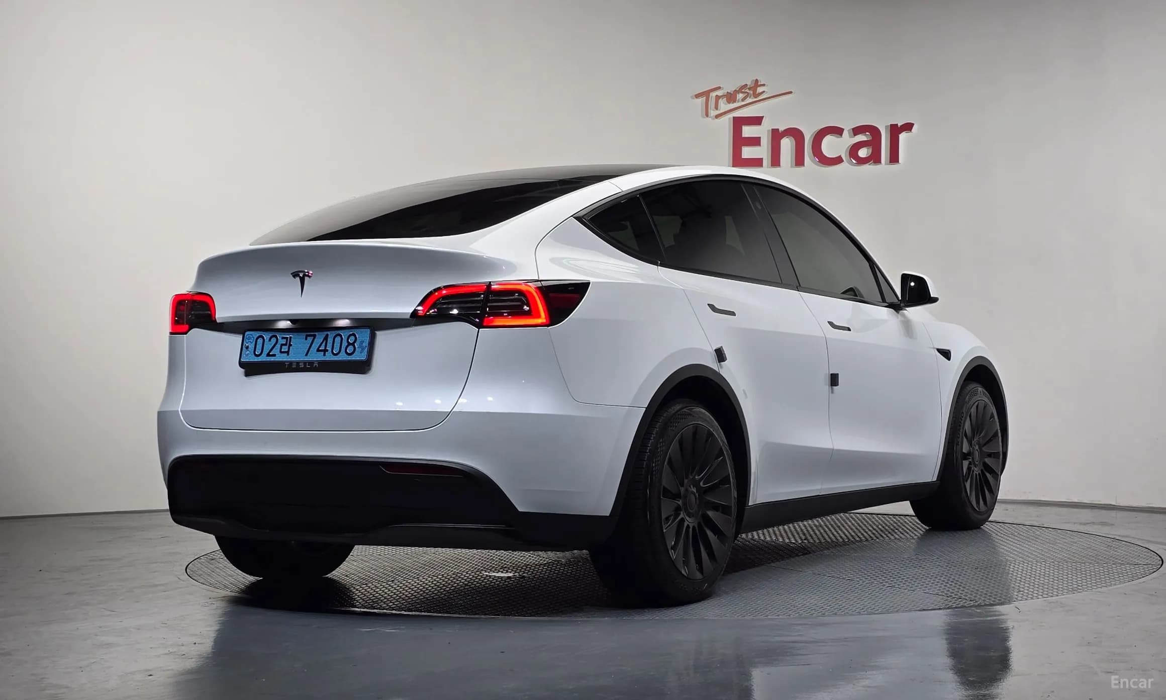 Model Y