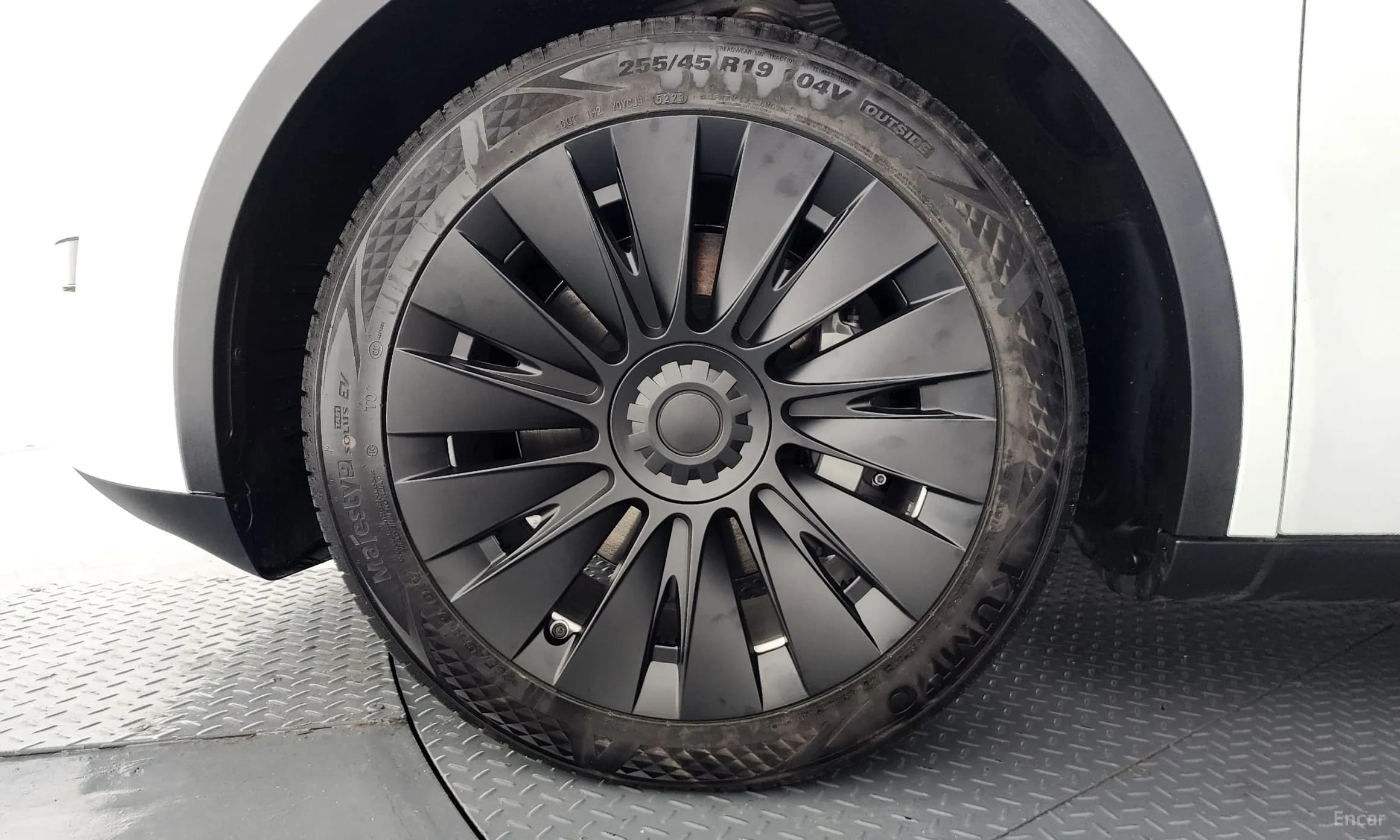 Model Y