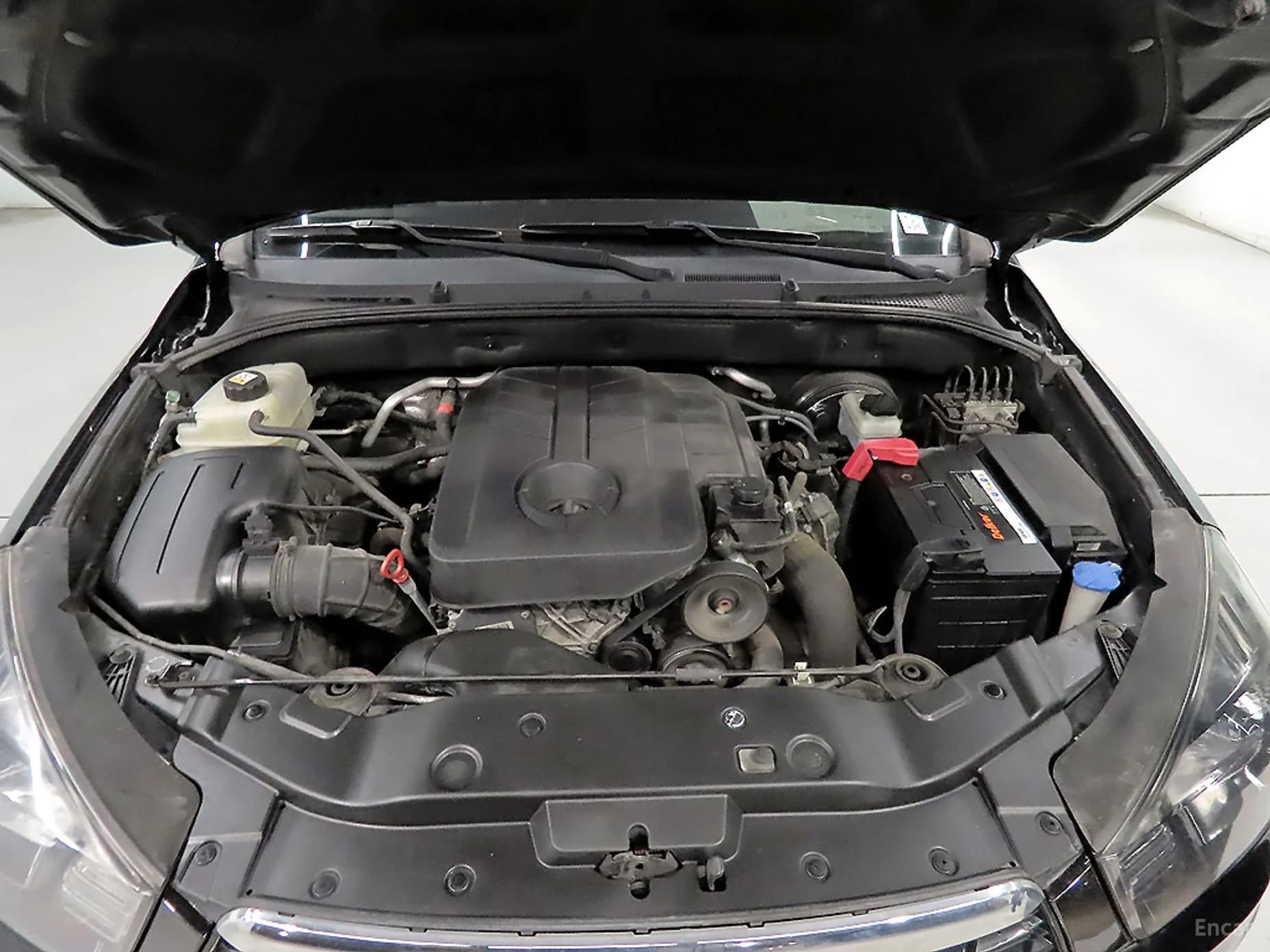 Korando Sports