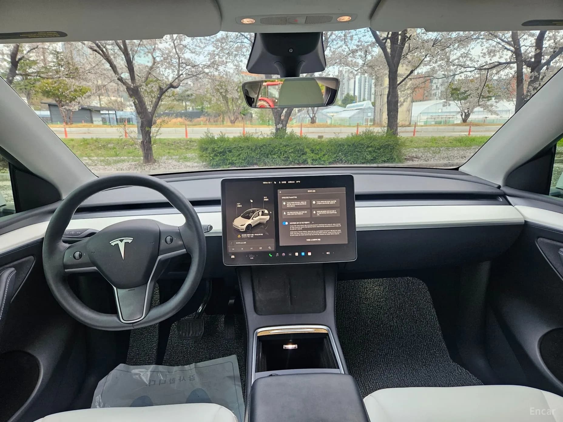 Model Y