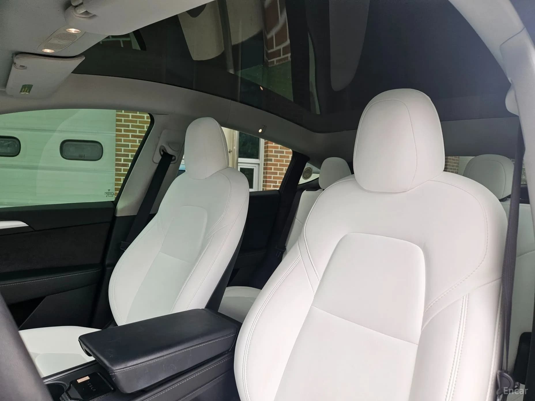 Model Y