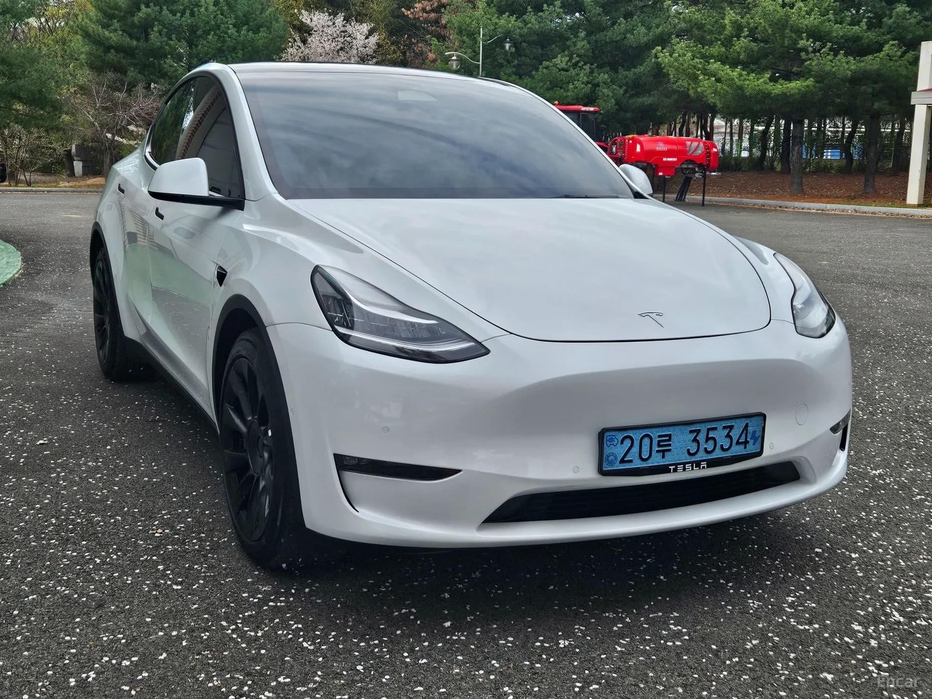 Model Y