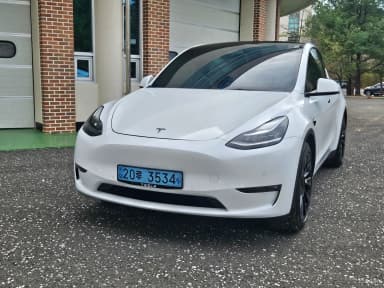 Model Y