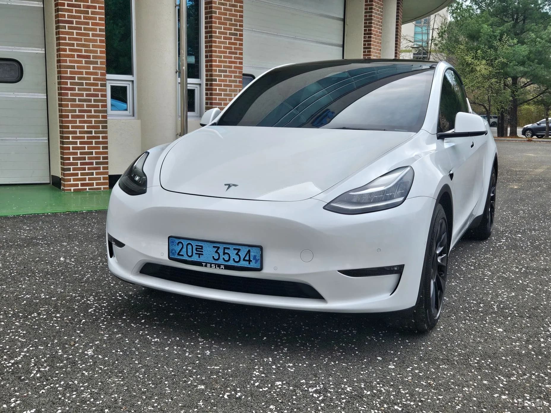 Model Y