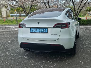 Model Y